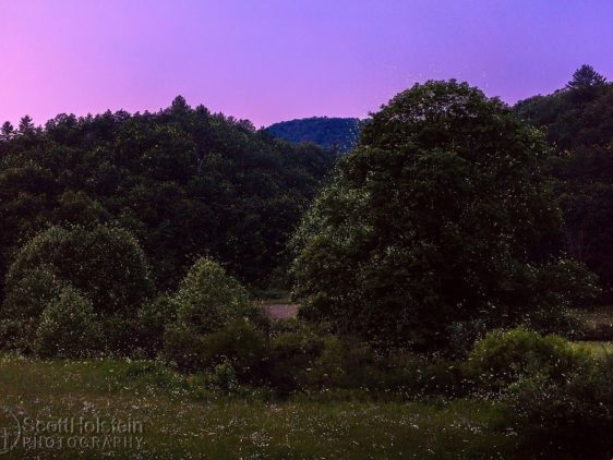 Firefly photography in the mountains at sunset.