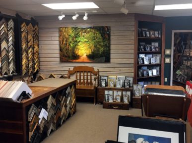 Inside Strauss Gallery in Tallahassee, featuring a large metal print of the landscape photograph, Old Magnolia Road 1, by Scott Holstein, among other fine art and framing supplies.