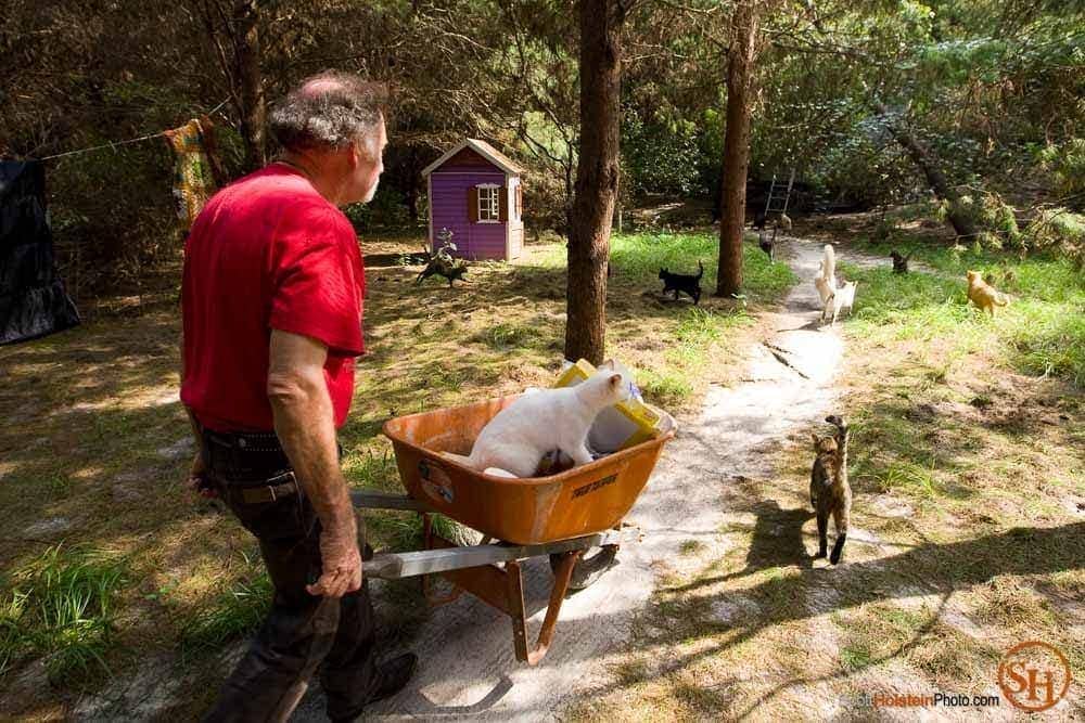 Editorial photography of a cat hitching a ride in Craig Grant’s wheelbarrow at Caboodle Ranch in Florida by Scott Holstein.