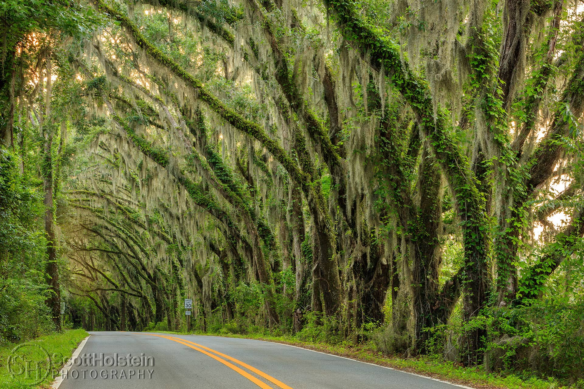 Miller Landing Road is a scenic drive in Tallahassee that leads from Meridian Road to Miller Landing on Lake Jackson.