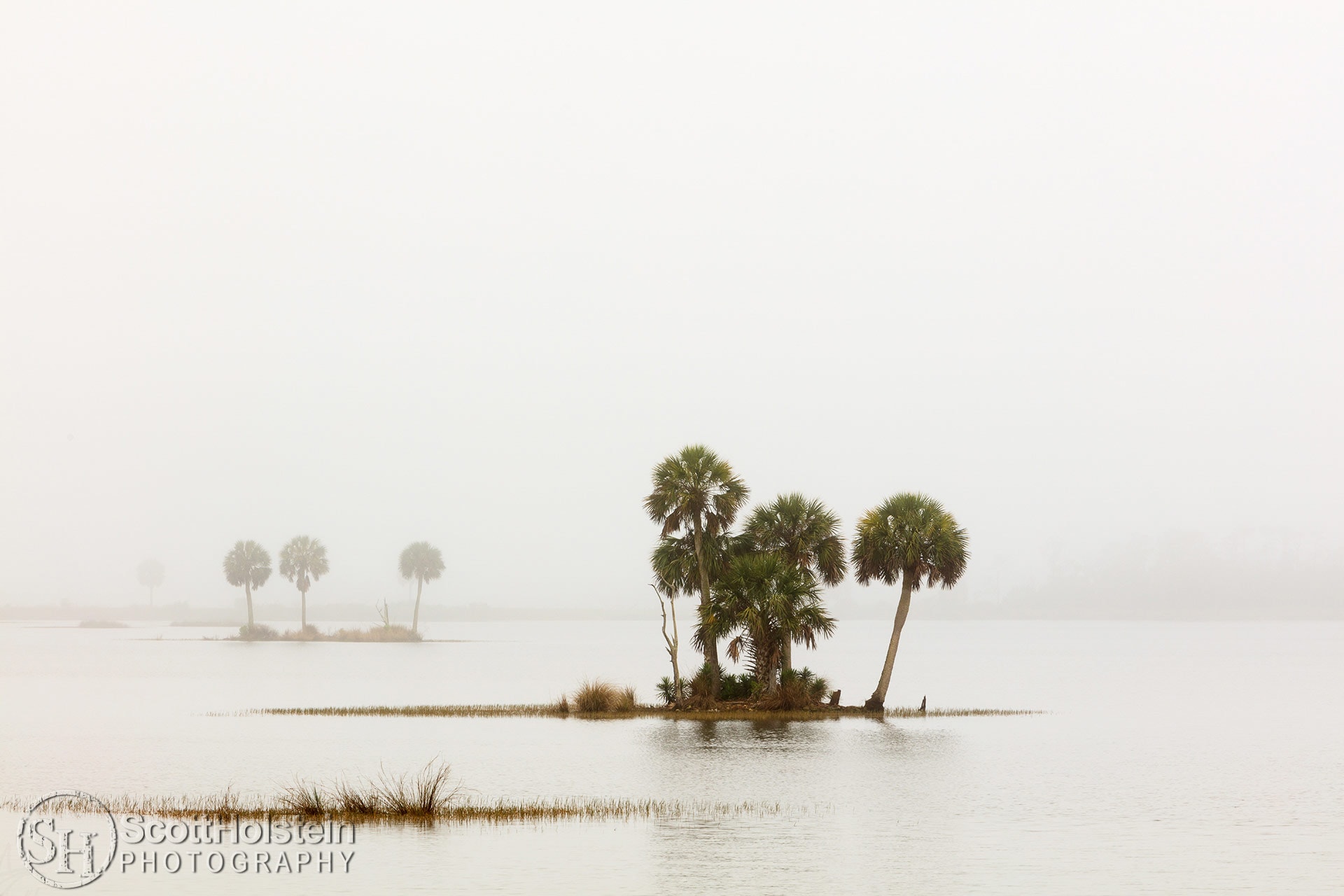 St. Marks Foggy Palms landscape photograph is a heavily white, minimalist image of tiny palm tree islands in the water fading into a fog bank at St. Marks National Wildlife Refuge in Florida.